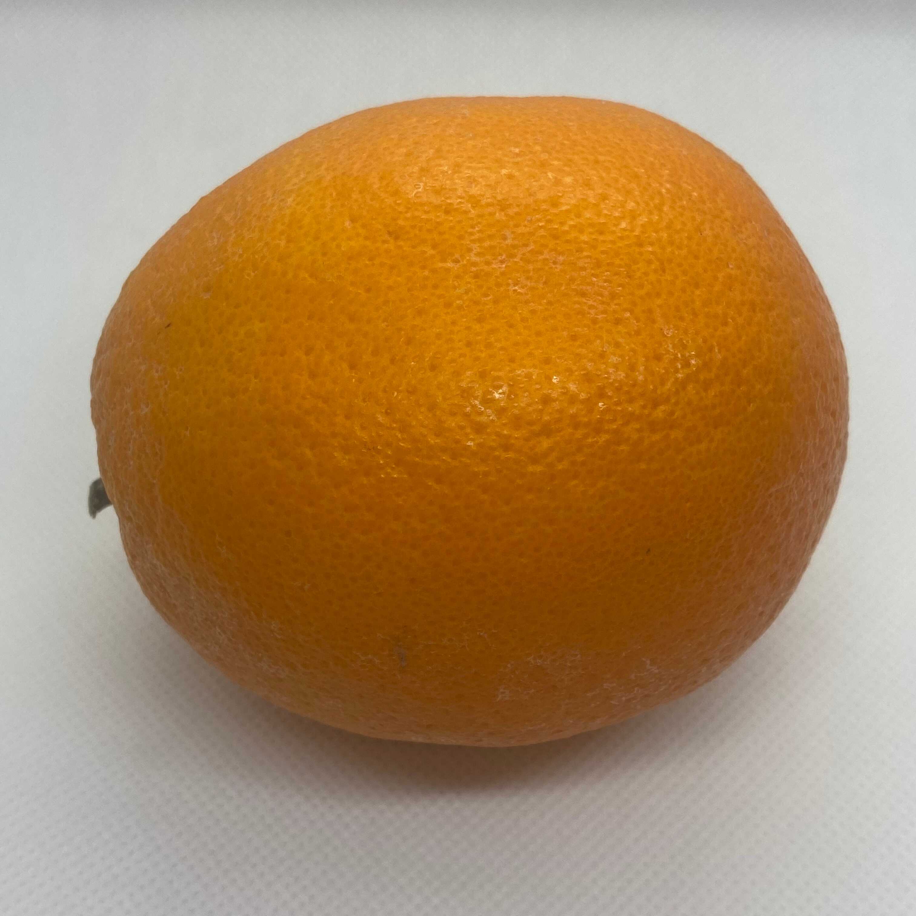 Orange in a horizontal position