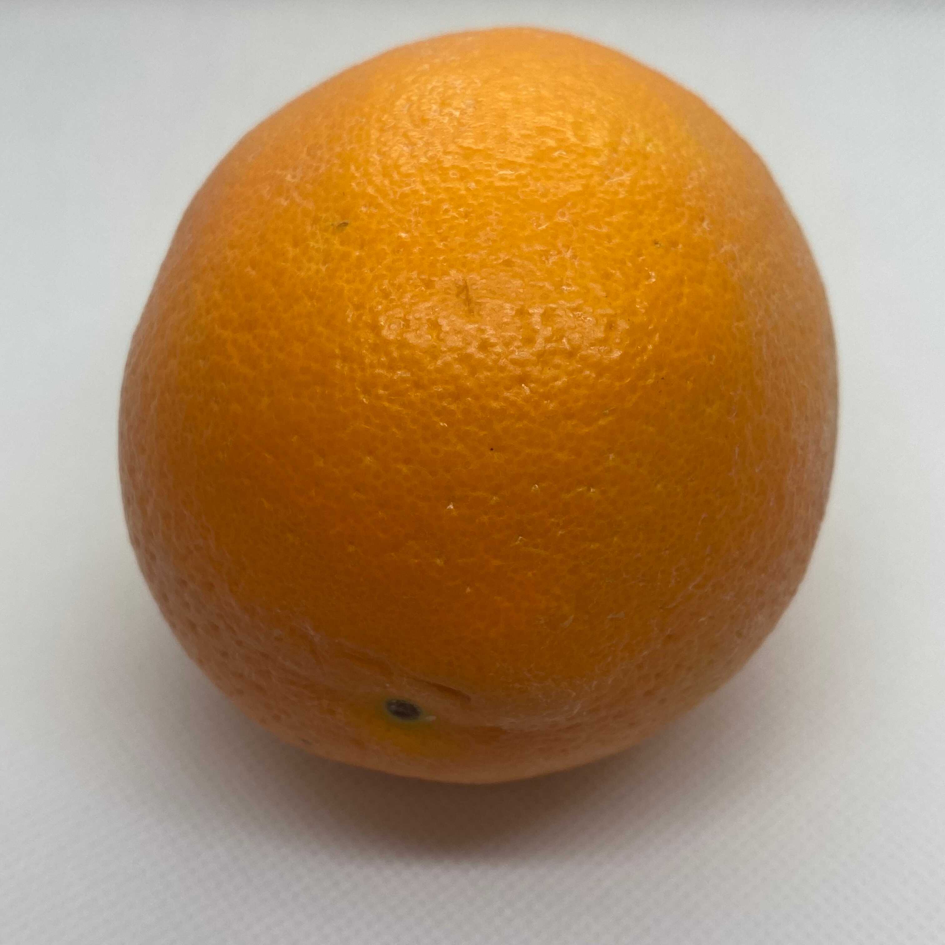 Shot of the orange and the object's bottom