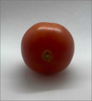 Top of the tomato in a side position
