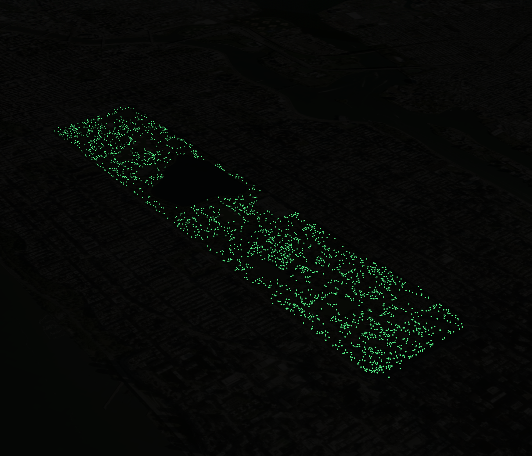 NYC Squirrel Population